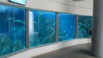 Paranagua Aquarium-Eintrittskarte Paranagua Aquarium-Eintrittskarte