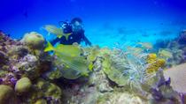 Découverte combinée plongée sous-marine et snorkeling Découverte combinée plongée sous-marine et snorkeling