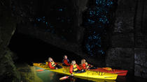 Tour en kayak para ver las luciérnagas por la noche en Tauranga Tour en kayak para ver las luciérnagas por la noche en Tauranga