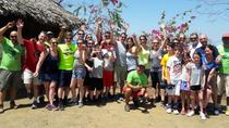 Excursion Pinilla Canopy Excursion Pinilla Canopy