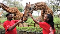 Centro Africano per le Giraffe in Via di Estinzione e Orfanotrofio per gli Elefanti di David Sheldrick Tour da Nairobi Centro Africano per le Giraffe in Via di Estinzione e Orfanotrofio per gli Elefanti di David Sheldrick Tour da Nairobi
