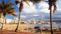 Visite guidée de Las Palmas, y compris le jardin botanique et le volcan Visite guidée de Las Palmas, y compris le jardin botanique et le volcan