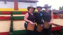 Madre Laura Coffee Tour de Jericó desde Medellín Madre Laura Coffee Tour de Jericó desde Medellín