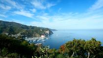 Dagtur til Catalina Island fra Anaheim eller Los Angeles med valgfrie opgraderinger Dagtur til Catalina Island fra Anaheim eller Los Angeles med valgfrie opgraderinger