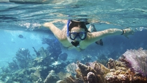 Buceo de superficie en Cozumel: Arrecifes Palancar, Colombia y Cielo Buceo de superficie en Cozumel: Arrecifes Palancar, Colombia y Cielo