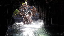 Excursion cascade et sources chaudes à Ubud Excursion cascade et sources chaudes à Ubud