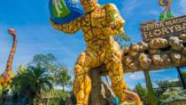 Eintrittskarte für Parque Terra Magica Florybal Eintrittskarte für Parque Terra Magica Florybal