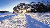 Excursión de un día en la nieve a Lake Mountain y Steavenson Waterfalls desde Melbourne Excursión de un día en la nieve a Lake Mountain y Steavenson Waterfalls desde Melbourne