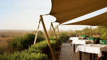 Trajet dans la Réserve pour la conservation du désert de Dubaï avec rafraîchissements à l'Al Maha Desert Resort et transport au départ de Dubaï Trajet dans la Réserve pour la conservation du désert de Dubaï avec rafraîchissements à l'Al Maha Desert Resort et transport au départ de Dubaï