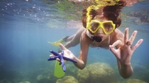 Excursão de snorkel em Cozumel saindo de Cancun: Recifes de corais e Playa Mia Beach Park Excursão de snorkel em Cozumel saindo de Cancun: Recifes de corais e Playa Mia Beach Park