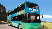 Excursión en autobús con paradas libres de exploración de la isla de Waiheke Excursión en autobús con paradas libres de exploración de la isla de Waiheke