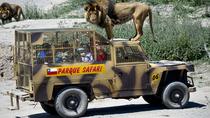 Billet d'entrée au Parque Safari Billet d'entrée au Parque Safari