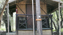 5-tägige einfache Krüger-Nationalpark-Safari 5-tägige einfache Krüger-Nationalpark-Safari