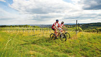 Recorrido privado: Paseo en bicicleta de montaña por bosques de Viena y Kahlenberg Recorrido privado: Paseo en bicicleta de montaña por bosques de Viena y Kahlenberg