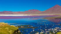 Visite des lagons de sel d’Atacama, y compris Ojos del Salar de San Pedro de Atacama Visite des lagons de sel d’Atacama, y compris Ojos del Salar de San Pedro de Atacama
