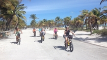 Recorrido en bicicleta eléctrica guiado de Key Biscayne o South Beach Recorrido en bicicleta eléctrica guiado de Key Biscayne o South Beach