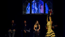 Théâtre de flamenco de Madrid Théâtre de flamenco de Madrid