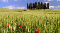 Montalcino, Val d'Orcia, Pienza e Montepulciano: excursão guiada com degustação de vinhos e queijos, saindo de Firenze Montalcino, Val d'Orcia, Pienza e Montepulciano: excursão guiada com degustação de vinhos e queijos, saindo de Firenze