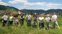 Excursión en bicicleta por las bodegas del Valle de Wachau para grupos pequeños desde Viena Excursión en bicicleta por las bodegas del Valle de Wachau para grupos pequeños desde Viena
