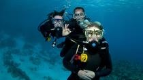 Buceo con 2 bombonas en St Martin Buceo con 2 bombonas en St Martin