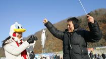 ソウル発、氷の国華川ヤマメ祭り ソウル発、氷の国華川ヤマメ祭り