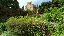 Eintrittskarte für Crathes Castle, Garten, und Grundstück Eintrittskarte für Crathes Castle, Garten, und Grundstück