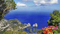 Excursão diurna em Capri e Anacapri saindo de Sorrento Excursão diurna em Capri e Anacapri saindo de Sorrento