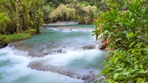 Excursion sur la côte de Montego Bay : les chutes de Dunn Excursion sur la côte de Montego Bay : les chutes de Dunn