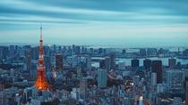 Eintägige private Besichtigungstour Tokio - englischsprachiger Fahrer Eintägige private Besichtigungstour Tokio - englischsprachiger Fahrer