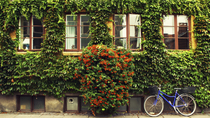 Privat tur: Cykeltur i København Privat tur: Cykeltur i København