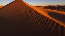 Conducción por las dunas en Dubái, con experiencia en campamento en el desierto y cena de barbacoa Conducción por las dunas en Dubái, con experiencia en campamento en el desierto y cena de barbacoa