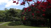 Eintrittskarte Parque das Trilhas Eintrittskarte Parque das Trilhas
