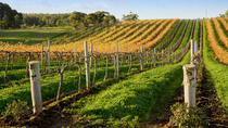 Tour por Victor Harbor con la región vinícola McLaren Vale desde Adelaida Tour por Victor Harbor con la región vinícola McLaren Vale desde Adelaida