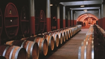 Excursão ao Penfords Magill Estate e Degustação de Vinho Excursão ao Penfords Magill Estate e Degustação de Vinho