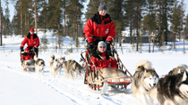 Passeio familiar de natal na neve com trenó puxado por huskies de Rovaniemi Passeio familiar de natal na neve com trenó puxado por huskies de Rovaniemi