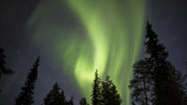 Safári das Luzes do Norte na Lapônia em Trenó Motorizado saindo de Saariselkä Safári das Luzes do Norte na Lapônia em Trenó Motorizado saindo de Saariselkä