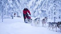 Safári de Husky na Lapônia saindo de Rovaniemi Safári de Husky na Lapônia saindo de Rovaniemi