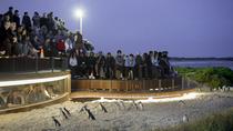 メルボルン発ペンギン プラス席付きフィリップ島と野生動物見学小グループ日帰り旅行 メルボルン発ペンギン プラス席付きフィリップ島と野生動物見学小グループ日帰り旅行