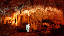 Aventure à la grotte Harrison et à la grotte Animal Flower Aventure à la grotte Harrison et à la grotte Animal Flower