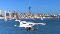 Excursão de Hidroavião em Auckland Excursão de Hidroavião em Auckland