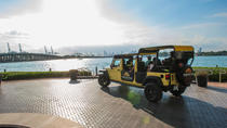 Visita privada: Recorrido turístico por la ciudad de Miami Visita privada: Recorrido turístico por la ciudad de Miami