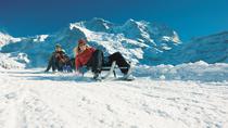Aventure en raquette et traîneau dans les Alpes suisses depuis Interlaken Aventure en raquette et traîneau dans les Alpes suisses depuis Interlaken