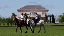 Torne-se um jogador de polo: viagem de um dia à estância de Puesto Viejo Torne-se um jogador de polo: viagem de um dia à estância de Puesto Viejo