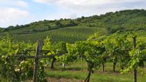 Excursión de un día a la región vinícola de Tokaj desde Budapest Excursión de un día a la región vinícola de Tokaj desde Budapest