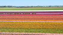 Keukenhof und Flowerfields, Volendam und Zaanse Schans in einer kleinen Gruppe Keukenhof und Flowerfields, Volendam und Zaanse Schans in einer kleinen Gruppe