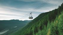 グラウス山への入場料 グラウス山への入場料