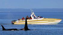 Crucero de avistamiento de ballenas y la fauna y flora de Victoria Crucero de avistamiento de ballenas y la fauna y flora de Victoria