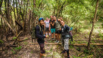 5-daagse trekkingtour door Umphang vanuit Bangkok 5-daagse trekkingtour door Umphang vanuit Bangkok