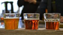Excursión en bicicleta por Vancouver con cervezas y aperitivos Excursión en bicicleta por Vancouver con cervezas y aperitivos