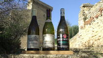 Excursão de dia inteiro privada para grupos pequenos com degustação de vinho saindo de Avinhão,&nbsp;...&nbsp;